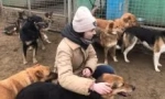 Cum să devii voluntar într-un adăpost pentru animale